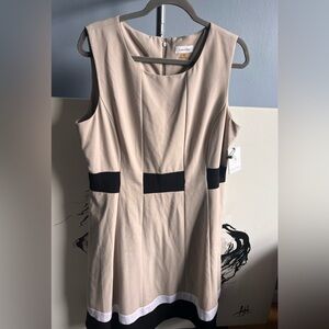 Calvin Klein Nude Dress with Black & White Accents